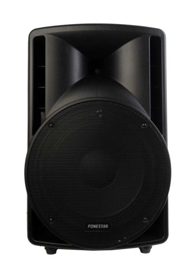 Altavoz amplificado 15" con reproductor USB/SD/MP3